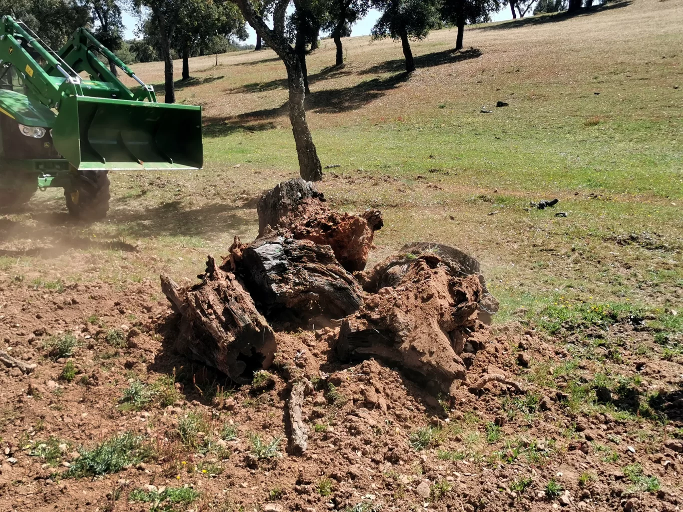 Morouço construído com troncos de árvores